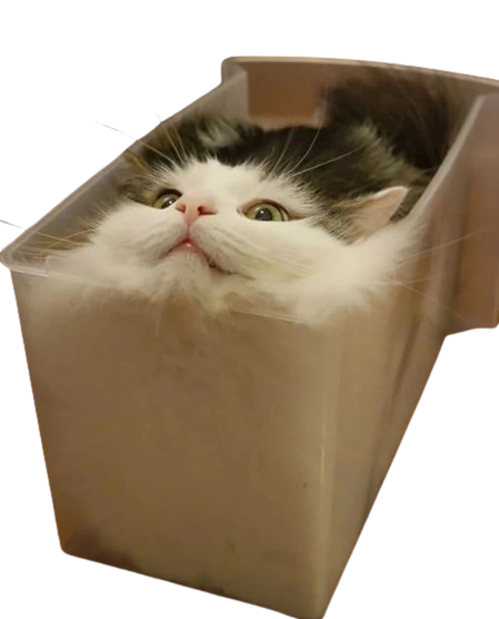 bread